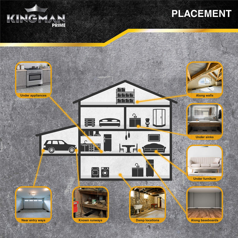 Kingman Prime Mouse Glue Trap Large 2 Pc