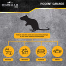Kingman Prime rat mouse rodent pest glue trap, large reusable heavy-duty tray for safe indoor pest control.