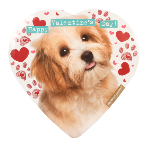 Chocolate in Heart Shaped Pet Box 2oz (18 Pack)