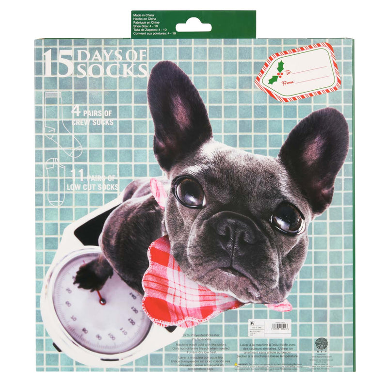 HYP (Christmas Dogs) Christmas Advent Calendar 15 Days of  Socks