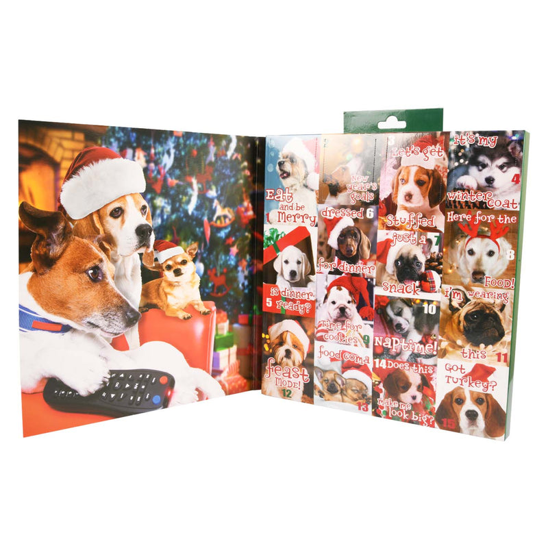 HYP (Christmas Dogs) Christmas Advent Calendar 15 Days of  Socks