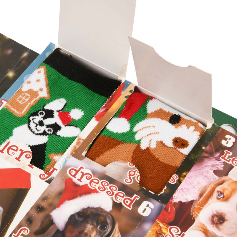 HYP (Christmas Dogs) Christmas Advent Calendar 15 Days of  Socks