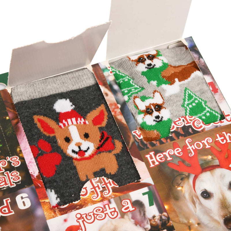 HYP (Christmas Dogs) Christmas Advent Calendar 15 Days of  Socks