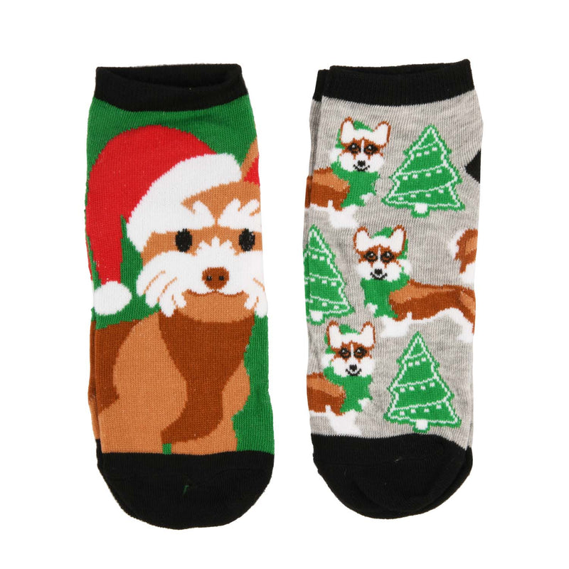 HYP (Christmas Dogs) Christmas Advent Calendar 15 Days of  Socks