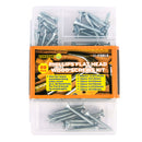 TOPZONE PHILLIPS FLAT HEAD WOOD SCREWS KIT 80PCS(1 Count)