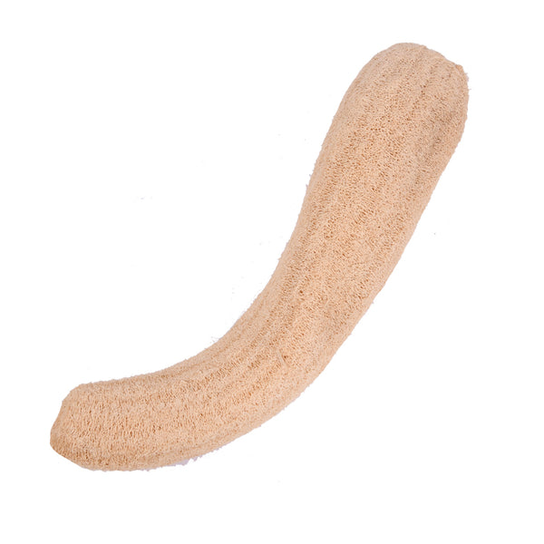 LOOFA SPONGE EXTRA LARGE(1 Count)