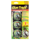 Ant Glue Traps, 3 Count (12 Pack)