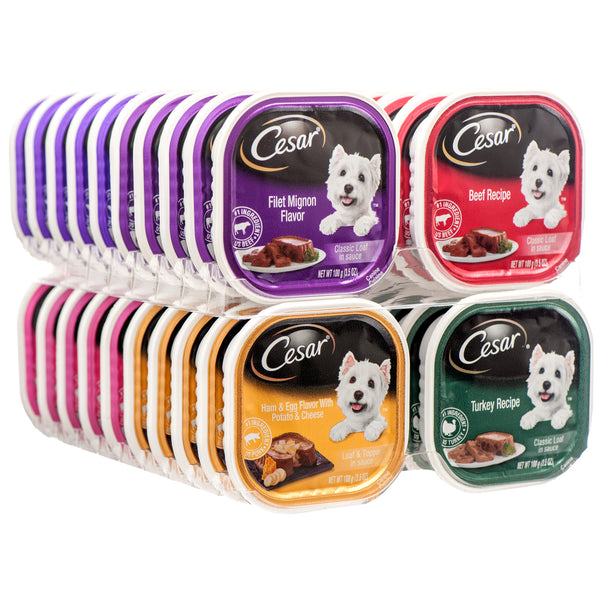 Cesar Wet Dog Food Variety Pack, 3.5 oz (40 Pack)