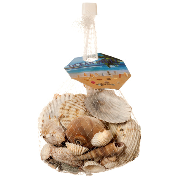 Seashells Mix (48 Pack)