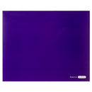 Glossy 2-Pocket Portfolio (48 Count)