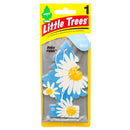 Little Trees Car Freshener, Daisy Fields (24 Pack)