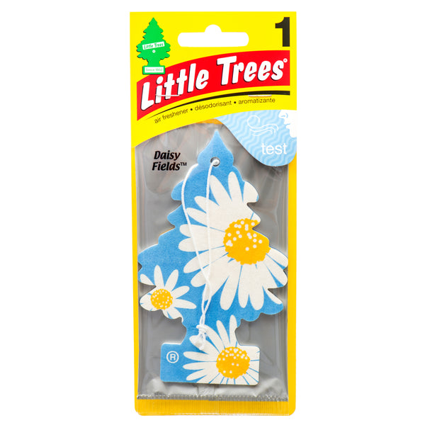 Little Trees Car Freshener, Daisy Fields (24 Pack)